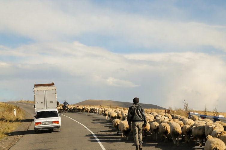 Life, Liberty And Nagorno-Karabakh by Patrick Elliott