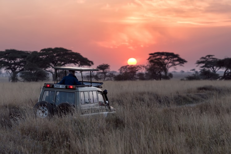 Saving Nature through Travel – Safarisource is on a Mission to bring tourists to Africa 